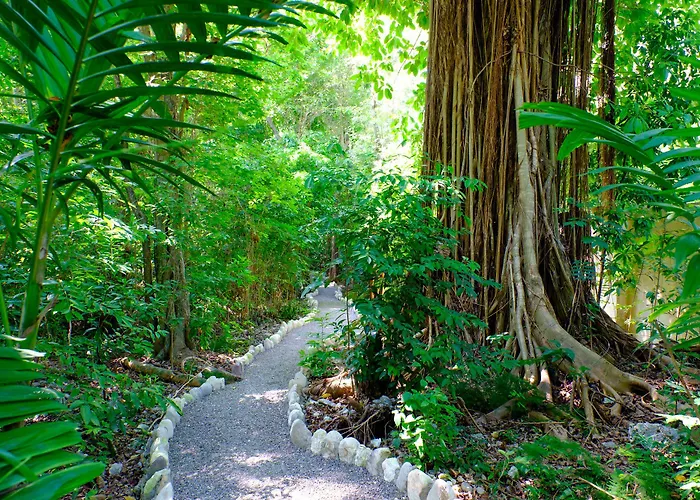 Hermosa Cove & Ocho Rios
